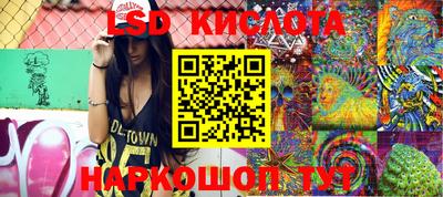 молекула духа Кингисепп